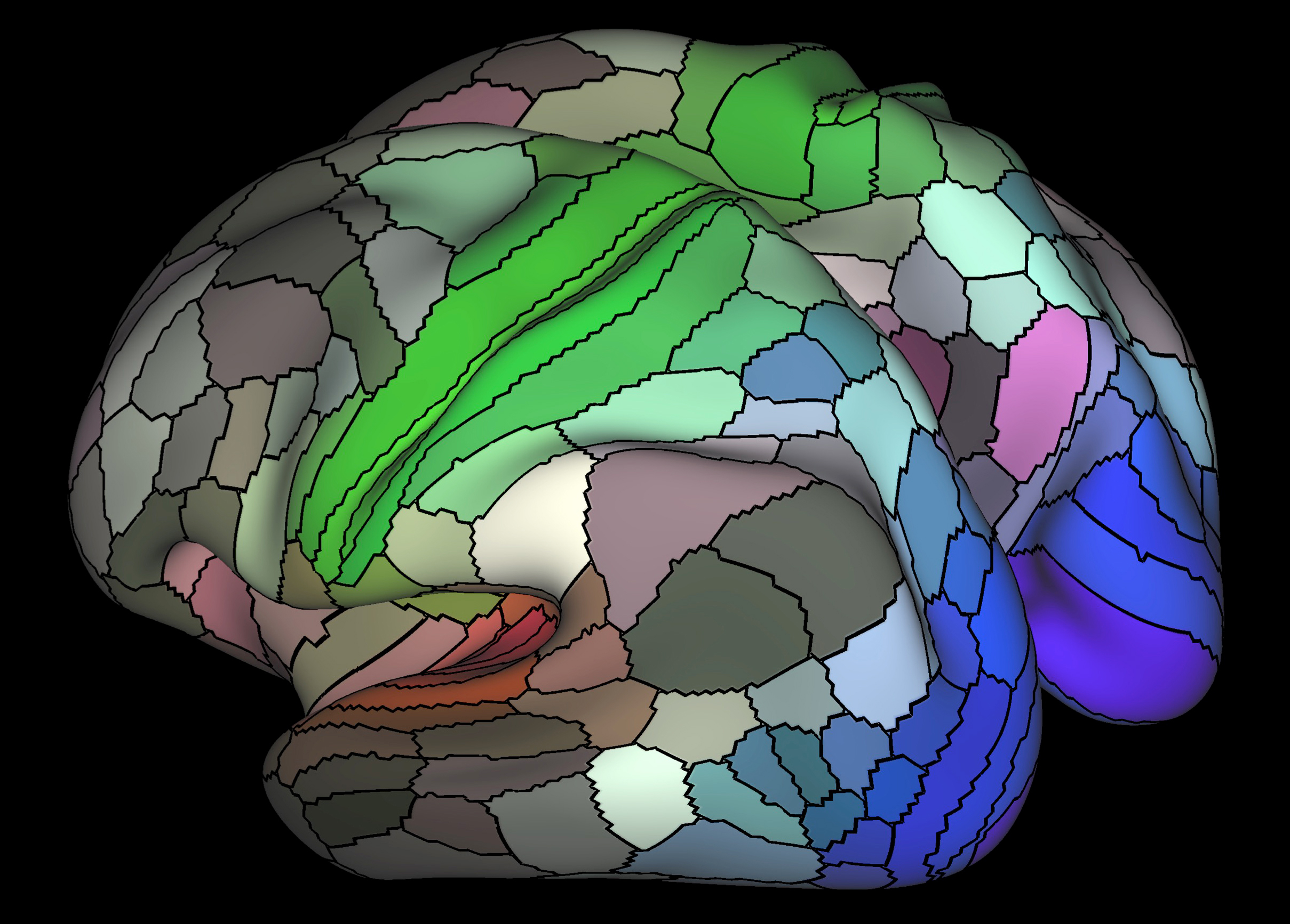 human brain mapping publication fees