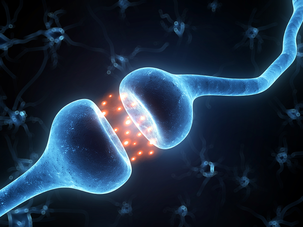 3D illustration of synapse and neuron cells sending electrical chemical signals3D illustration of synapse and neuron cells sending electrical chemical signals