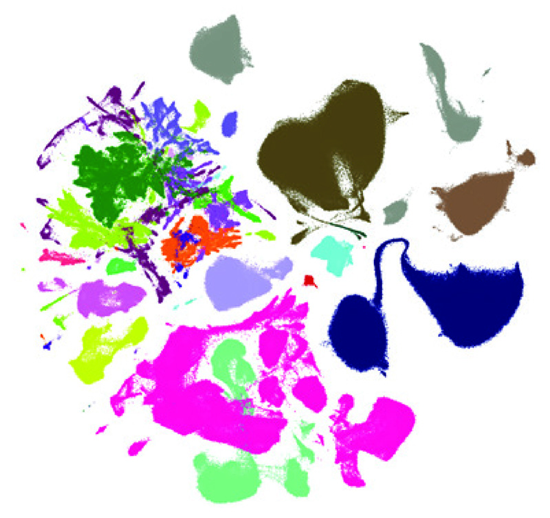  Picture of multi-colored, “splotchy” graph used to visualize the different cell types which analyzed in a study of aging on the mouse brain.