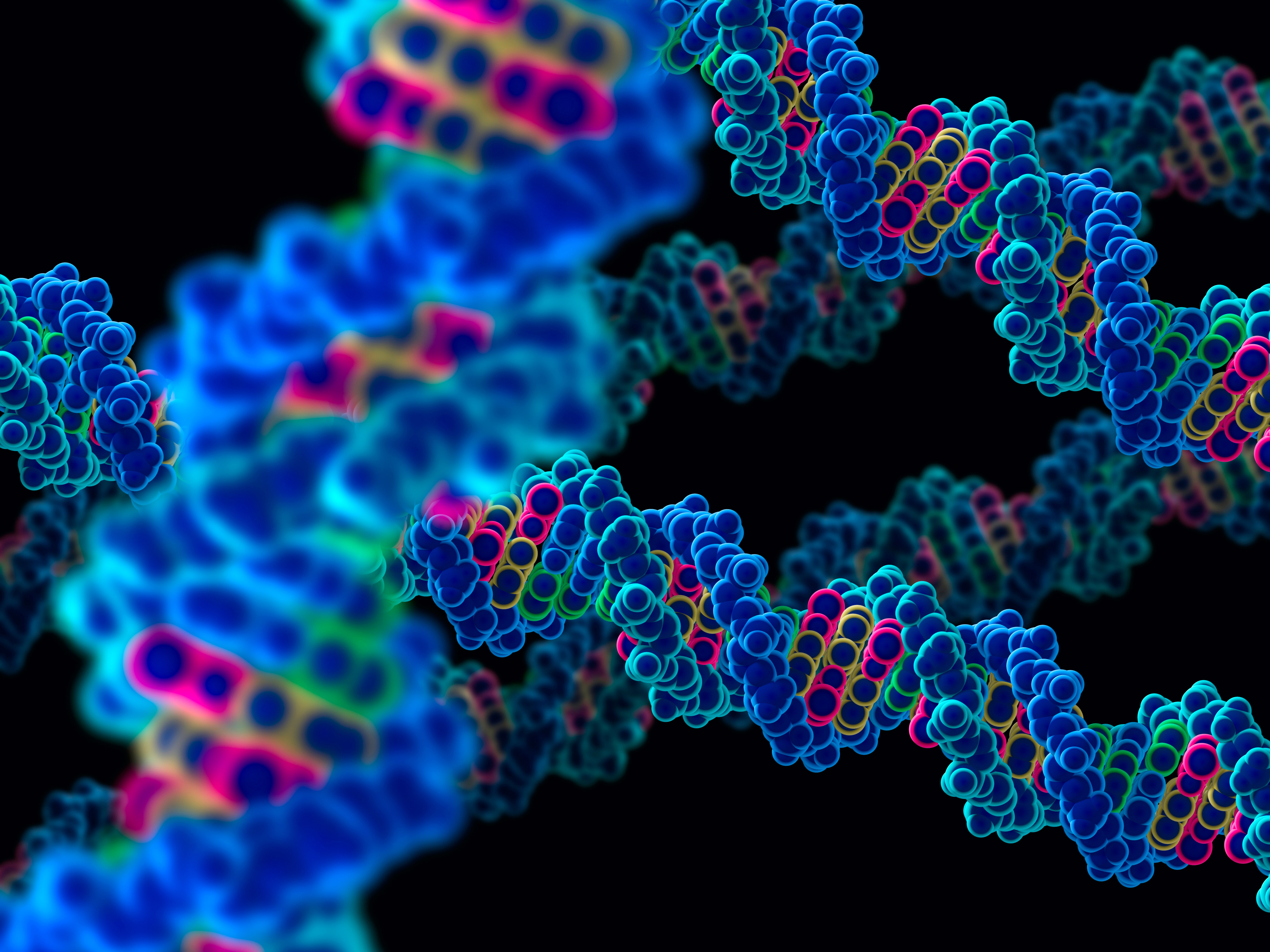 molecular genetics research articles
