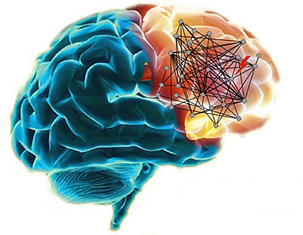 human brain mapping meeting