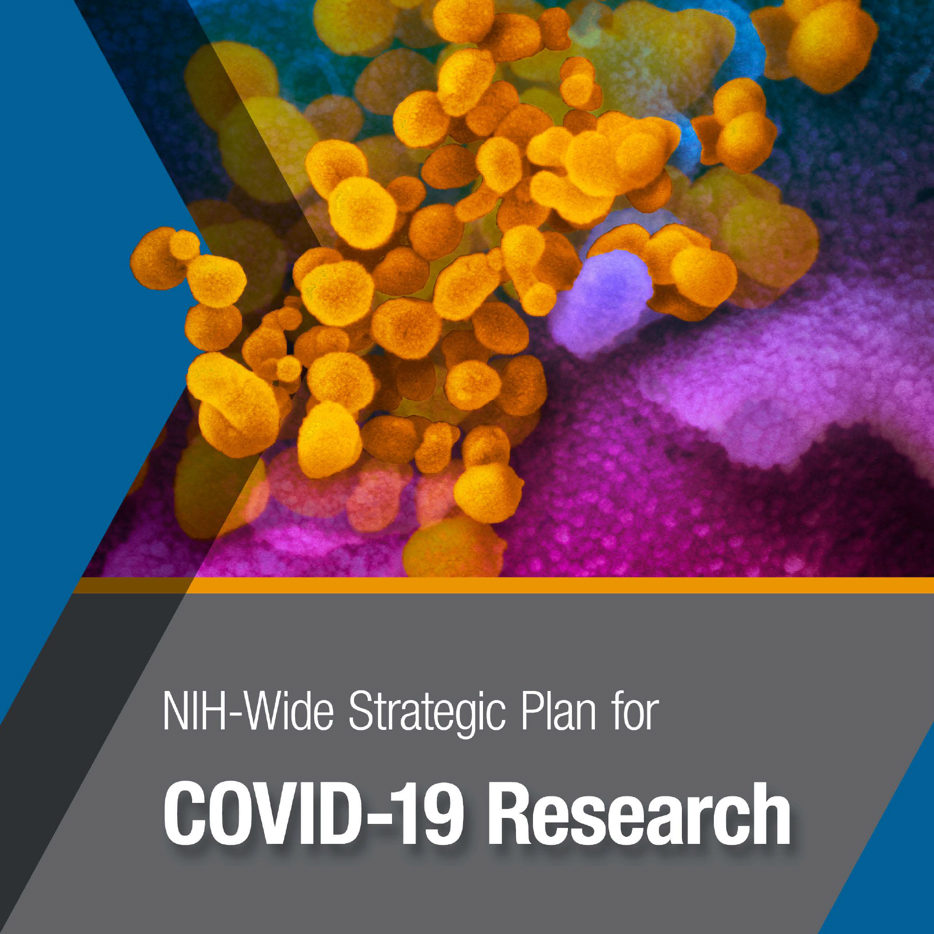 niaid strategic plan for covid 19 research