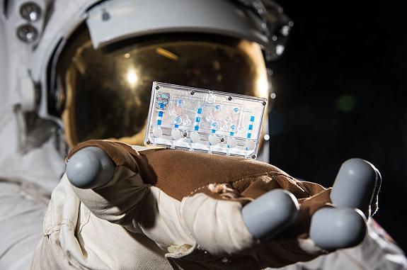 A space suit holds a tissue chip