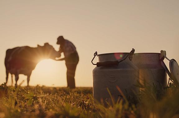 Silhouette of a farmer standing with a cow, with milk cans in the foreground.