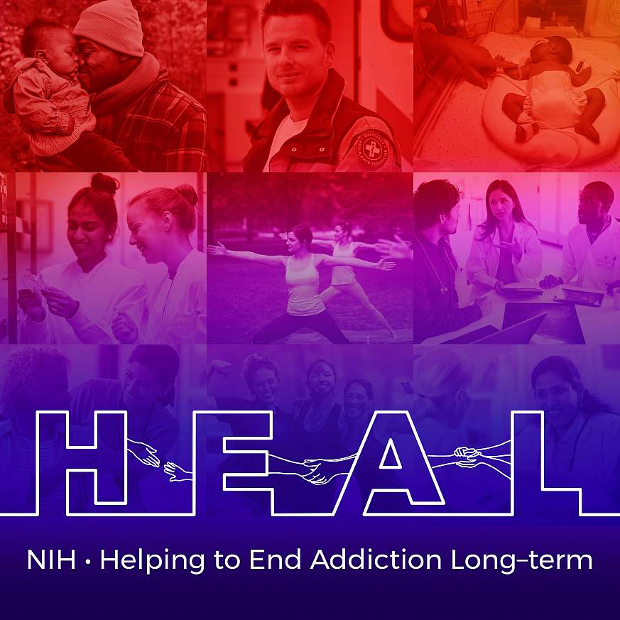 New Committee To Help Guide HEAL Initiative Efforts To Address Pain And ...