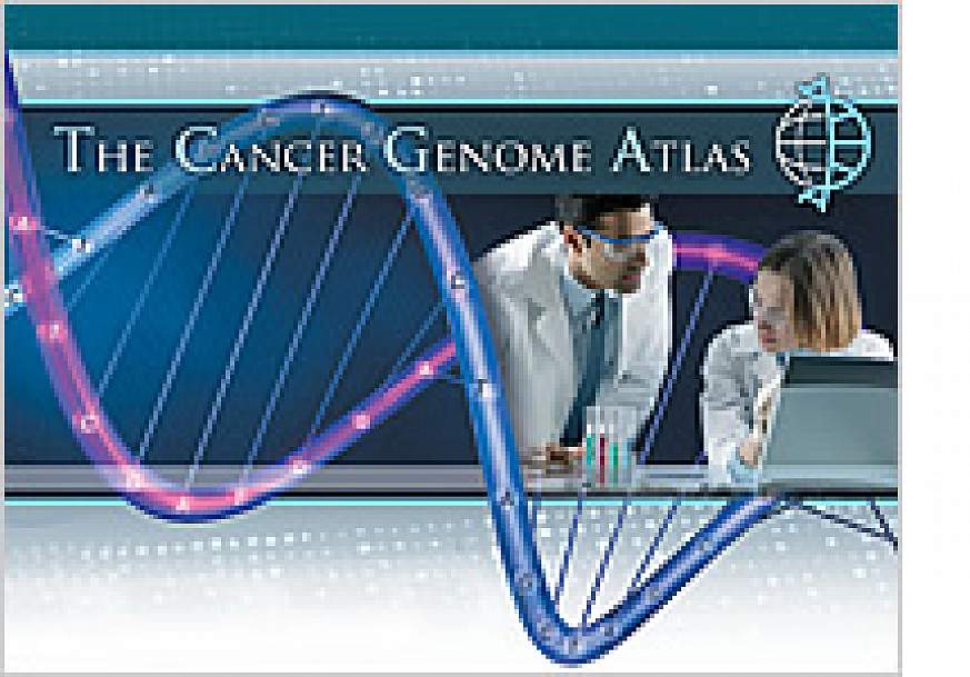 The Cancer Genome Atlas Awards Funds For Technology Development ...