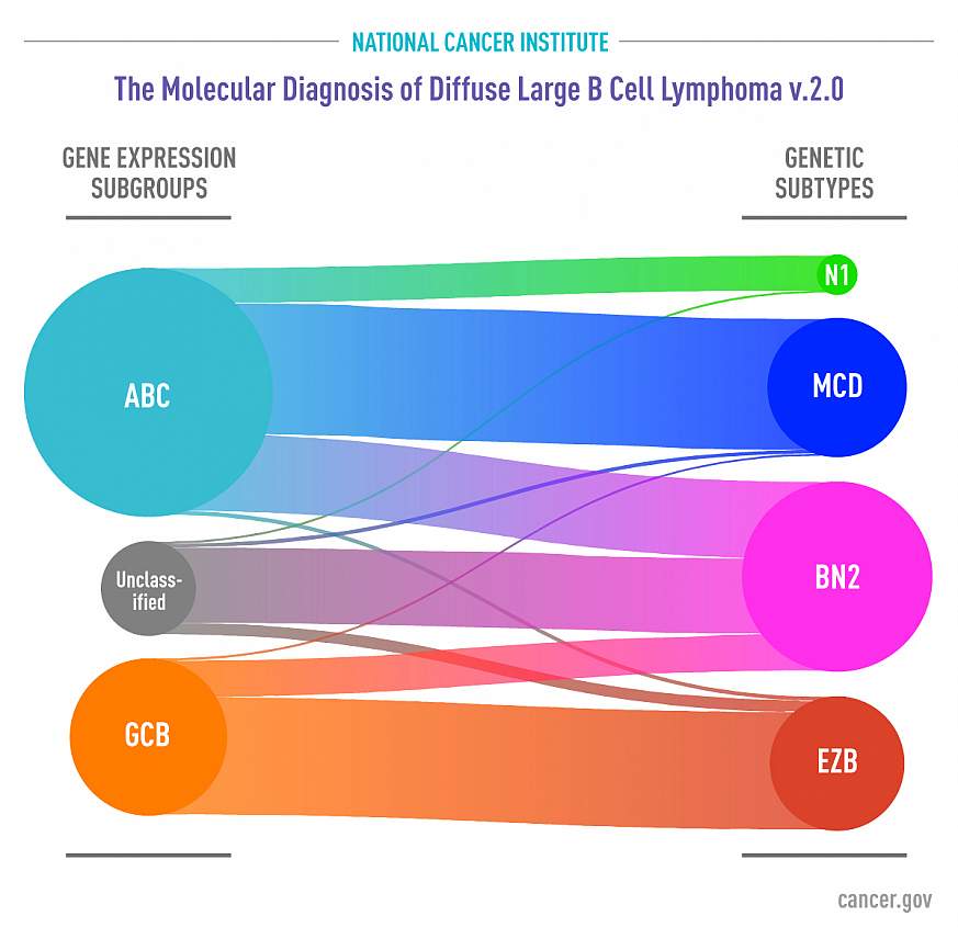 NIH Study Revises Molecular Classification For Most Common Type Of ...