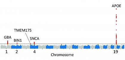Illustration showing gene sequences