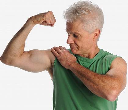 Gene Could Hold Key to Muscle Repair