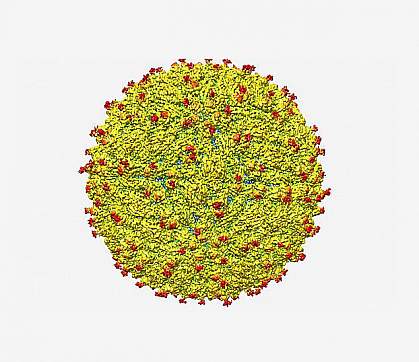 microscopic virus