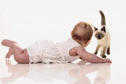 Baby on floor with kitten