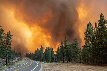 A lone car far in the distance travels on a highway away from a large, blazing forest fire.