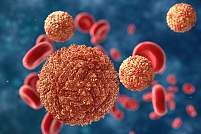 Zika Virus and red blood cells.