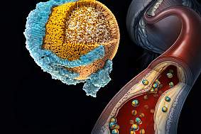 3D illustration of the makeup of LDL cholesterol in the bloodstream 