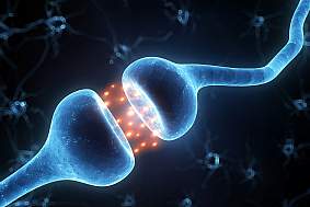 3D illustration of synapse and neuron cells sending electrical chemical signals3D illustration of synapse and neuron cells sending electrical chemical signals