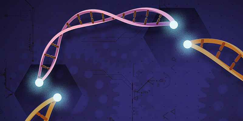 A pink double helix filling a break in an orange double helix.