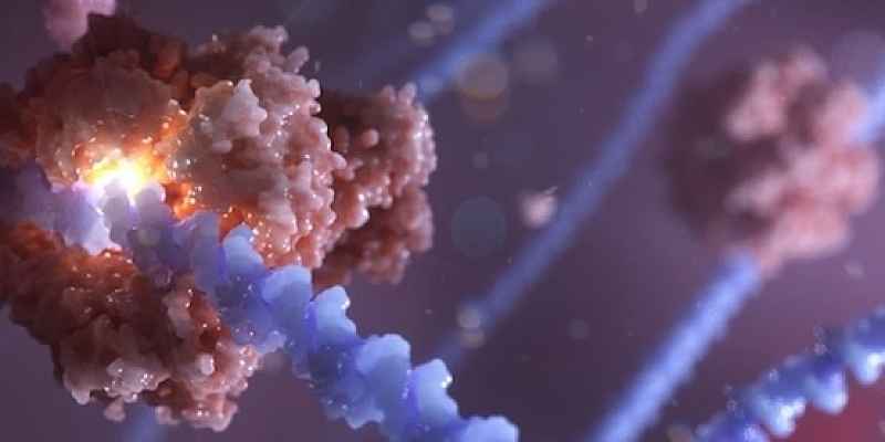 3D representation of RNA polymerase copying a DNA sequence into RNA through transcription. Photo Credit- Alexander Stewart, RTB, NIAID 