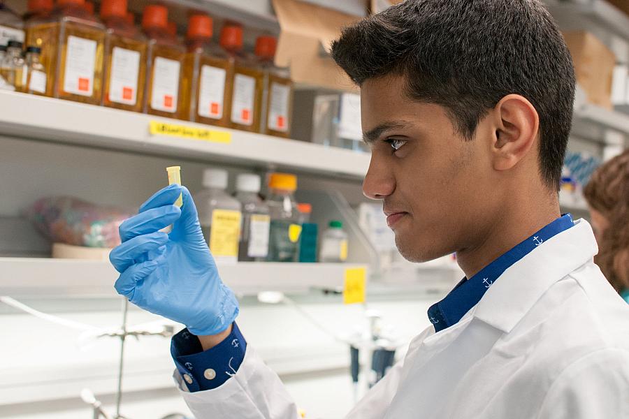 tomorrow-science.jpg Research Training