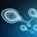 3D illustration of sperm cells swimming upward.