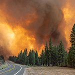 A lone car far in the distance travels on a highway away from a large, blazing forest fire.