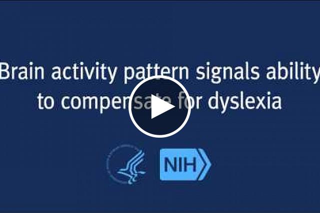 Brain scans of dyslexic adolescents who were later able to compensate for their dyslexia showed a distinct pattern of brain activity when compared to scans of adolescents who were unable to compensate, reported researchers funded in part by the Eunice Kennedy Shriver National Institute of Child Health and Human Development. 